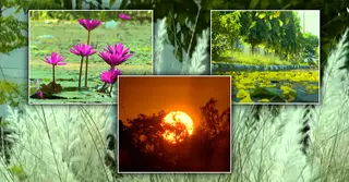 শরতের আগমনী সুর; যান্ত্রিক জীবন ছেড়ে প্রকৃতি আলিঙ্গনেই স্বস্তি